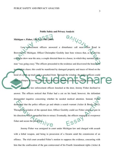 Public Safety and Privacy Analysis