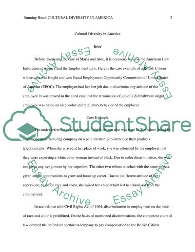 Cultural text essay image