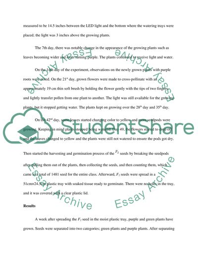 Mendelian Law and Inheritance of Anthocyanin