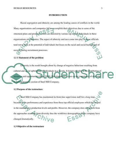 IP1 Diversity in the Workforce