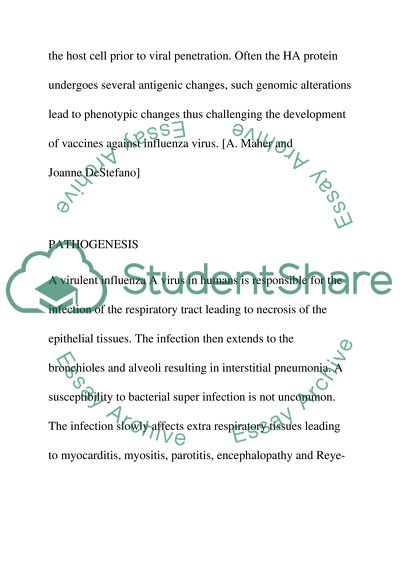Prediction of Modified Influenza A Virus Virulence in Humans Using Animal Models