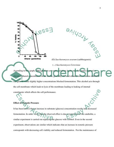 Fermentation Conditions for the Production of Ethanol