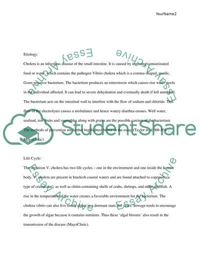 Cholera article image