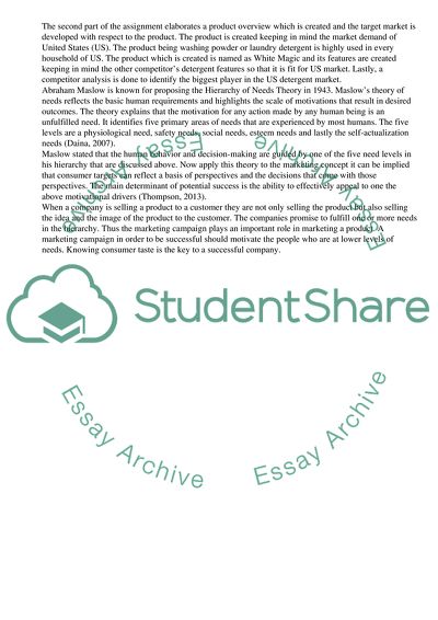 Target Market and Marketing Strategy