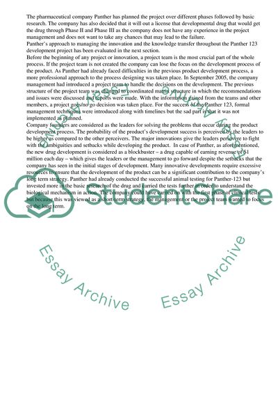 Panthers Managing Innovation and Project Management