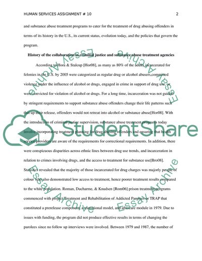 Assessment of the Role of Human Service Professionals within Substance Abuse Treatment Programs