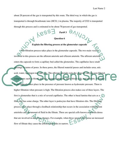 Parts and Functions of the Conducting Zones and Respiratory Zones
