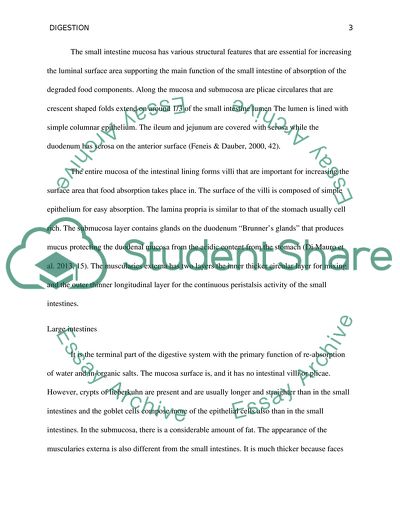 The Structure of the Mucosa and Muscularies Externa
