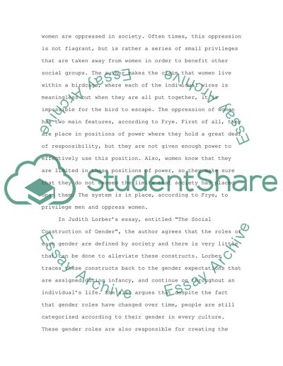 Womens Voices, Feminist Vision, by Susan Shaw and Janet Lee