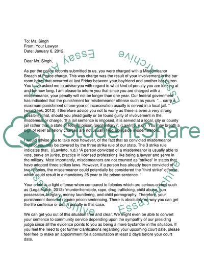 The Criminal Justice System