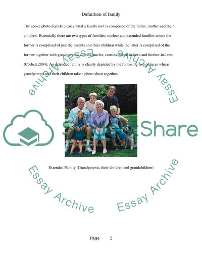 Definition of family Essay Example | Topics and Well Written Essays