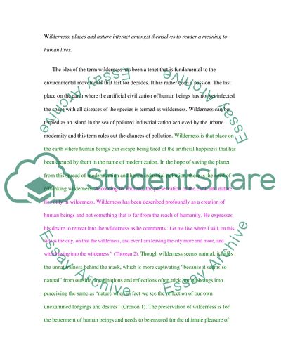 Wilderness, place and nature