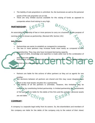 Sole proprietorship Essay Example | Topics and Well Written Essays ...