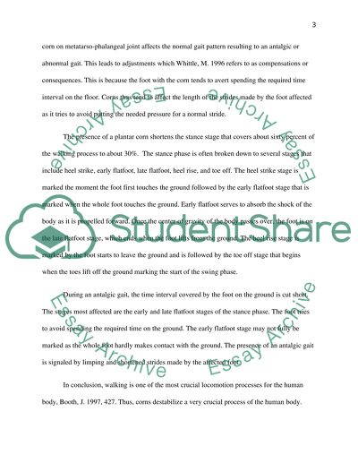 The Gait Cycle In Relation To Plantar Corns