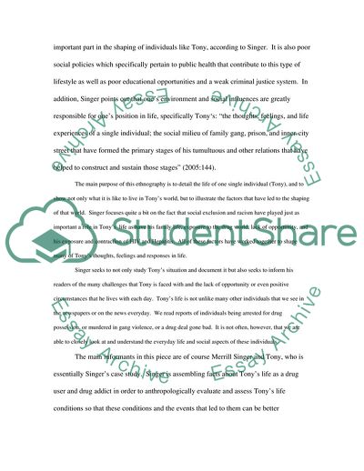 The Life of a Drug Addict in Anthropological Perspective