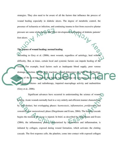 Diabetes Leading to an Extension of the Inflammatory Stage of Repair