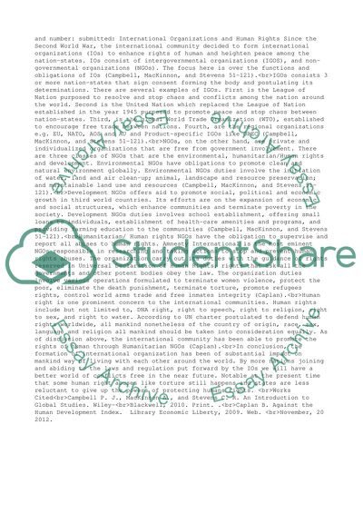 International Organizations and Human Rights