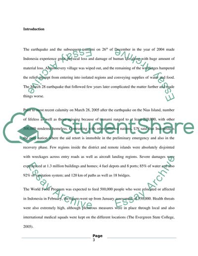 The Tsunami Crisis in Indonesia