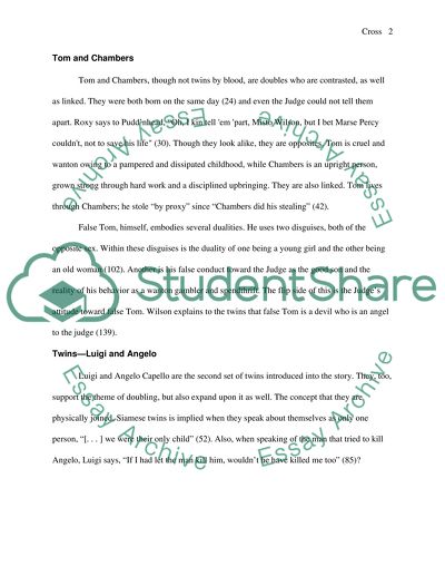 The Significance of Twins in Search of an Identity