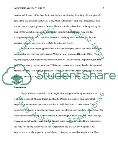 Lggerhead Sea Turtles and their migration and why they are protected