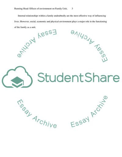 How the Environment Affects the Family Unit