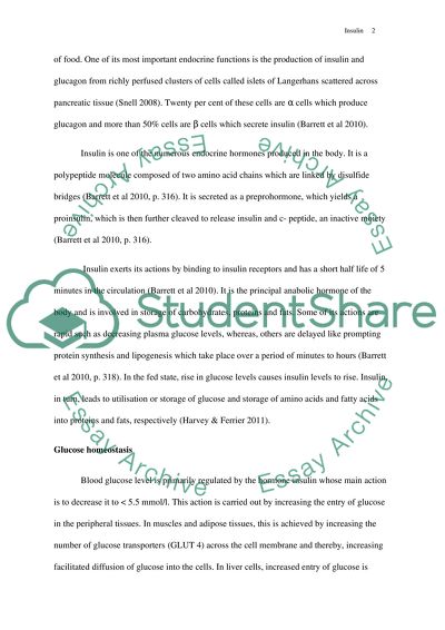 Insulin (pancreas/type II diabetes)