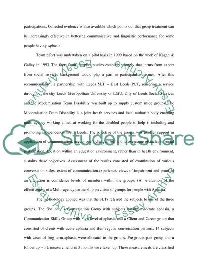 Theory and Practice of Multi-Agency Partnership