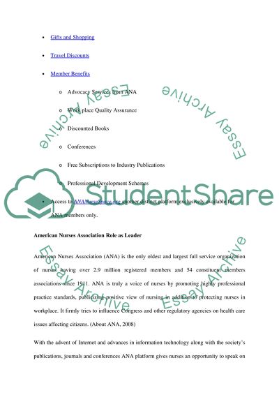 Professional Organizations Paper