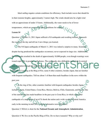 A Seagull on the Water