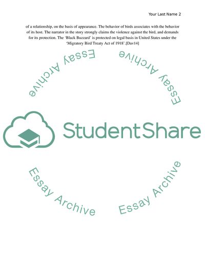 Black Buzzard and Big Significance to Appearance