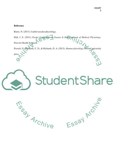 Description of the Heart Anatomy