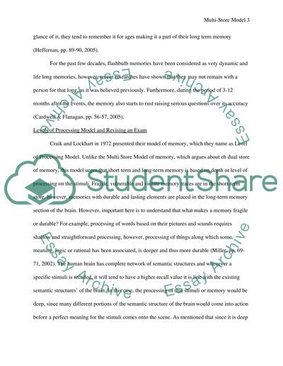 Multi-Store Model and Flash Blub Memories