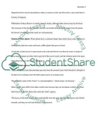 Adaptations and Responses of Woody Plants to Environmental Stresses