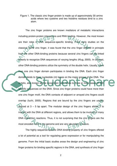 Zinc Finger Nucleases and Site-Directed Mutagenesis in Cells of Plants