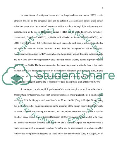 Histopathological Examination