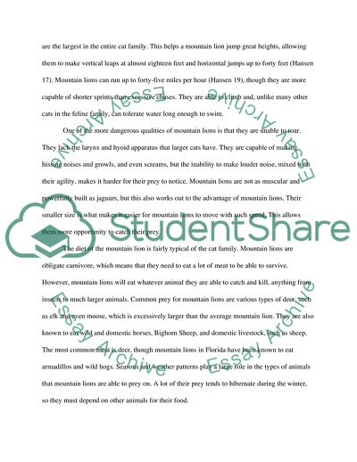 Mountain Lion also Called Cougar, Puma, or Panther Is Native American