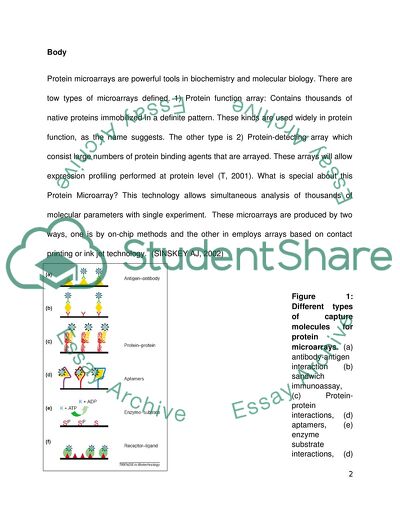 The Promise of Protein Microarray Technology