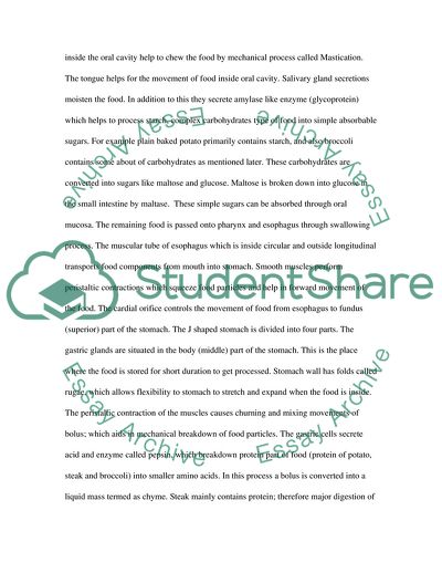 Anatomy and Physiology - Process of Digestion of a Meal