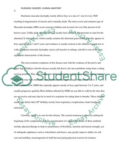 A (any) Muscular Disorder