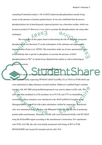 Regulatory Function of Dopamine Transporter Phosphorylation Site Threonine 53