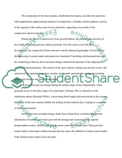 Bony Structure of the Lumbar Spine
