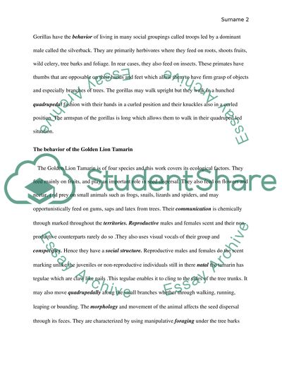 Describing the morphology and behavior of zoo gorilla, white-handed gibbon and golden lion tamarin