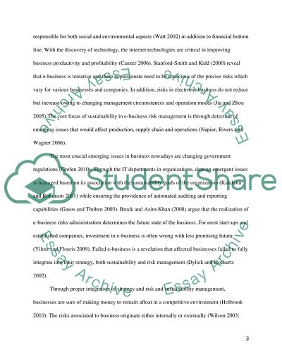 Risk Management for E-Business Sustainability