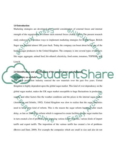 Implementation of Marketing Strategies