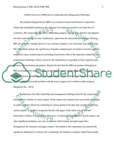 Overview of REI and its Leadership and Management Challenges