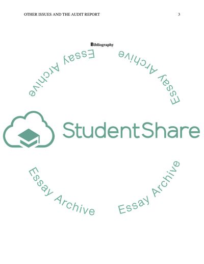 Other Issue and the audit report