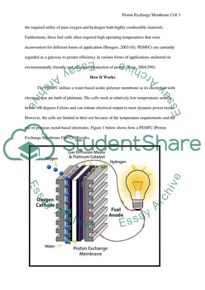 Proton Exchange Membrane Cell