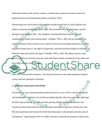 Teaching the Human Brain