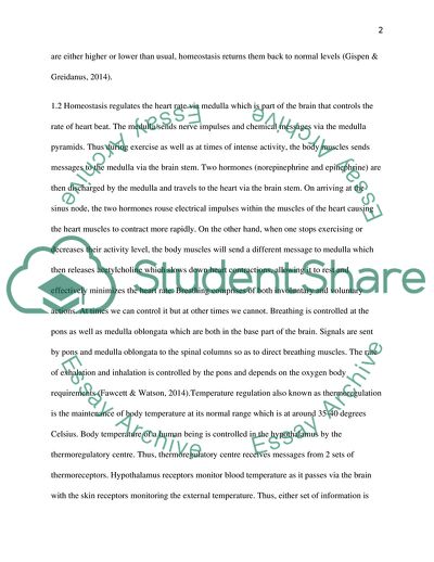 Homeostasis as the Natural Body Function