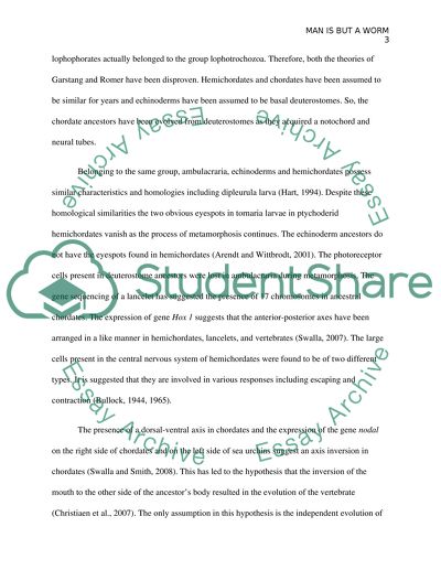 Man is but a Worm: Chordate Origins